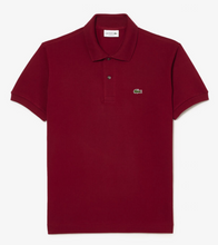Load image into Gallery viewer, Lacoste L1212 476
