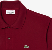 Load image into Gallery viewer, Lacoste L1212 476
