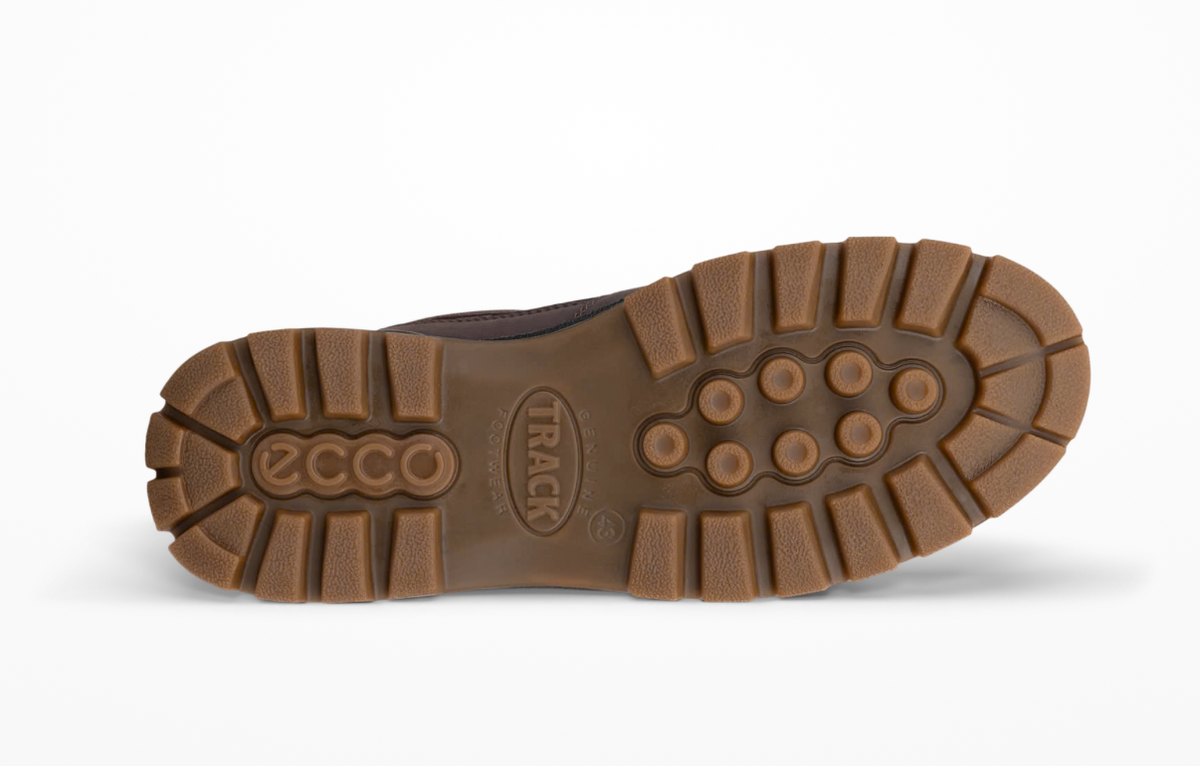 Ecco Track 25 Shoe Brown 833384 52962