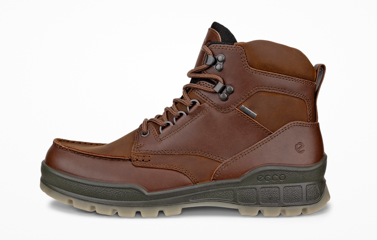 Ecco Track 25 Gortex Boot in Brown Bison 831704 53010