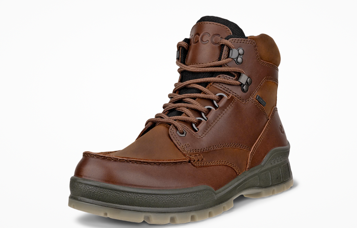 Ecco Track 25 Gortex Boot in Brown Bison 831704 53010