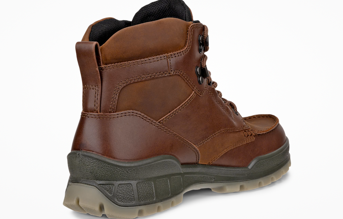 Ecco Track 25 Gortex Boot in Brown Bison 831704 53010