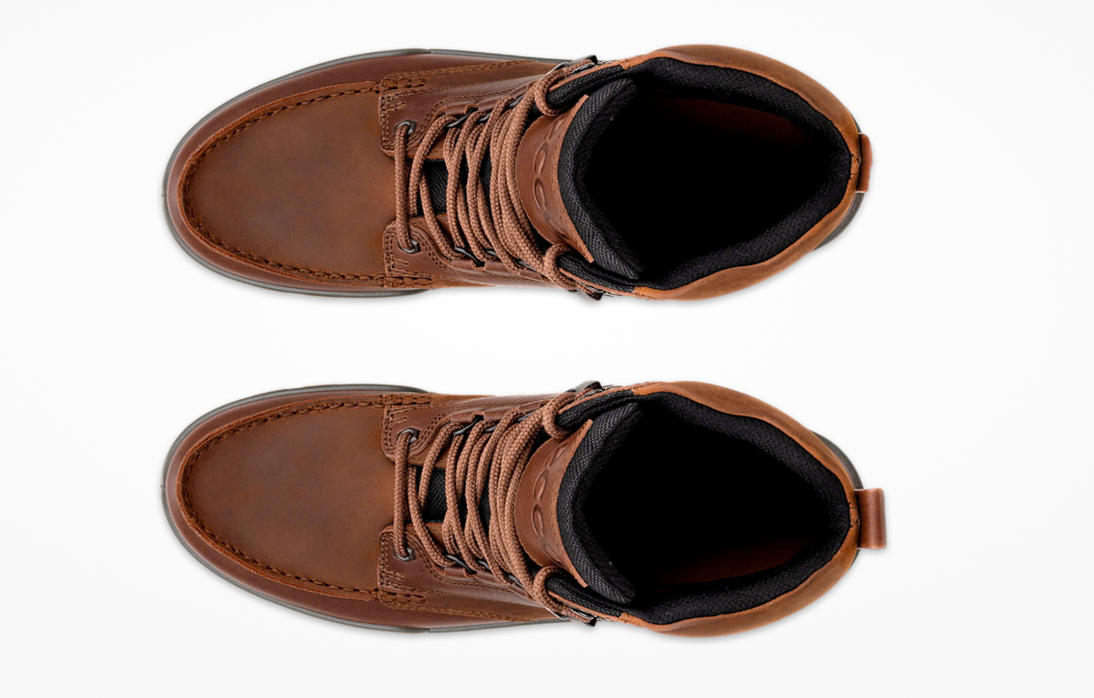 Ecco Track 25 Gortex Boot in Brown Bison 831704 53010