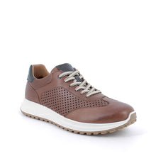 Load image into Gallery viewer, Igi&amp;Co Tabacco Brown Mens Shoes 7634722