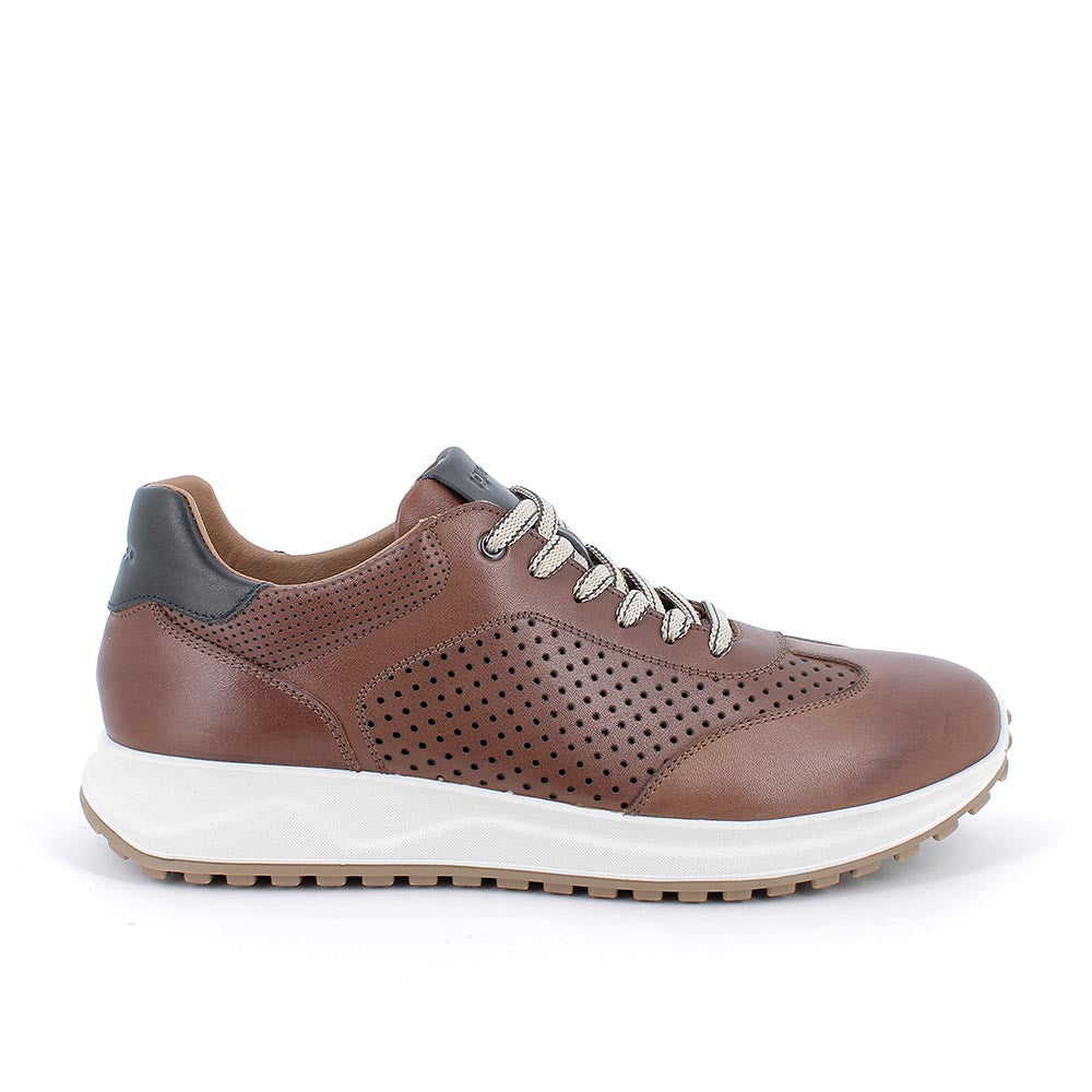 Igi&Co Tabacco Brown Mens Shoes 7634722