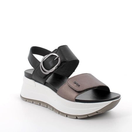 Igi&Co 7677622 Black Bronze