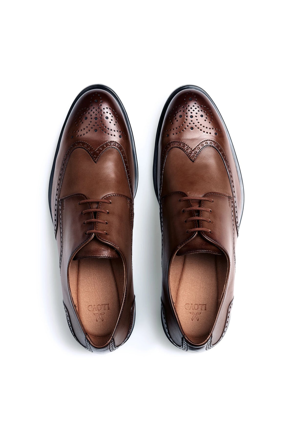 Lloyd Brown Shoe Eezy 140