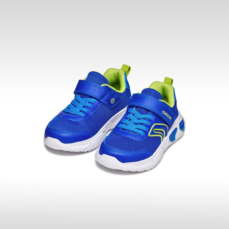 Geox Royal Blue Lime Boys Trainers J45DZC