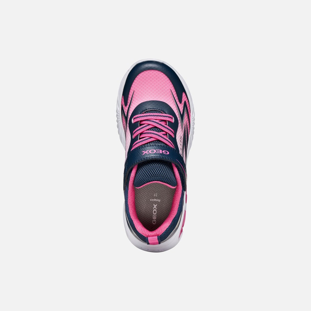 Geox Navy Pink Fuchsia J66E9B
