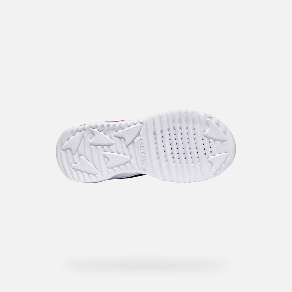 Geox Navy Pink Fuchsia J66E9B