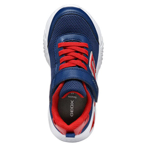 Geox Boys Shoe Navy Red J45DZC