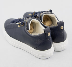 Paul Green 5017 Space Navy &amp; Gold