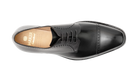 Barker Noah 16