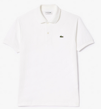 Load image into Gallery viewer, Lacoste L1212 001
