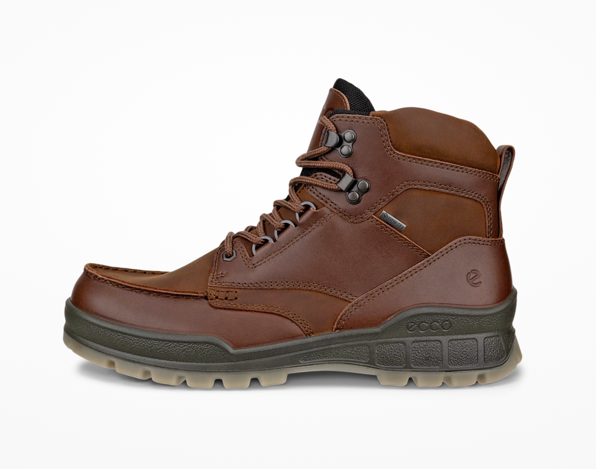 Ecco Track 25 Gortex Boot in Brown Bison 831704 53010