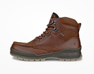 Ecco Track 25 Gortex Boot in Brown Bison 831704 53010