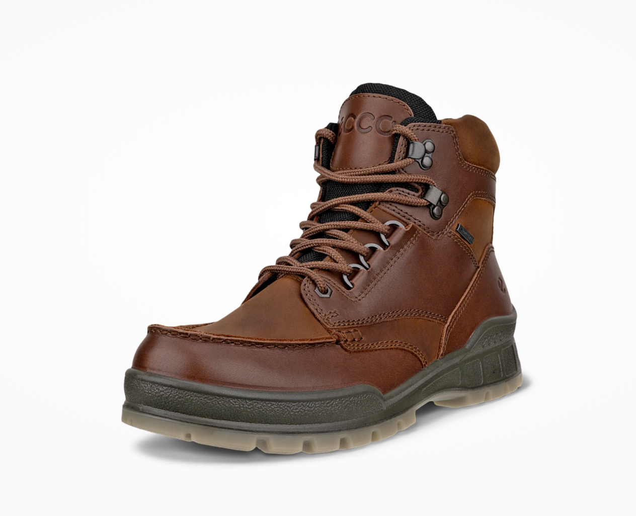 Ecco Track 25 Gortex Boot in Brown Bison 831704 53010