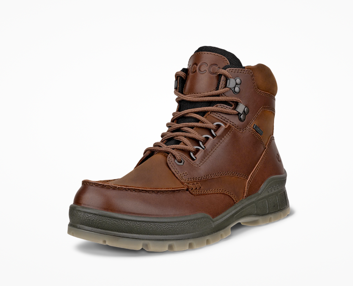 Ecco Track 25 Gortex Boot in Brown Bison 831704 53010