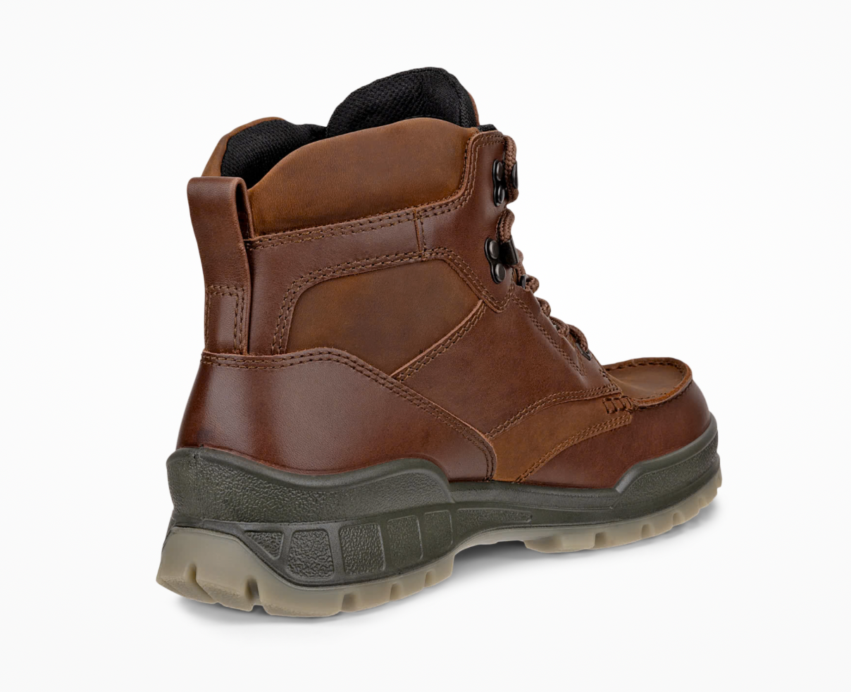 Ecco Track 25 Gortex Boot in Brown Bison 831704 53010