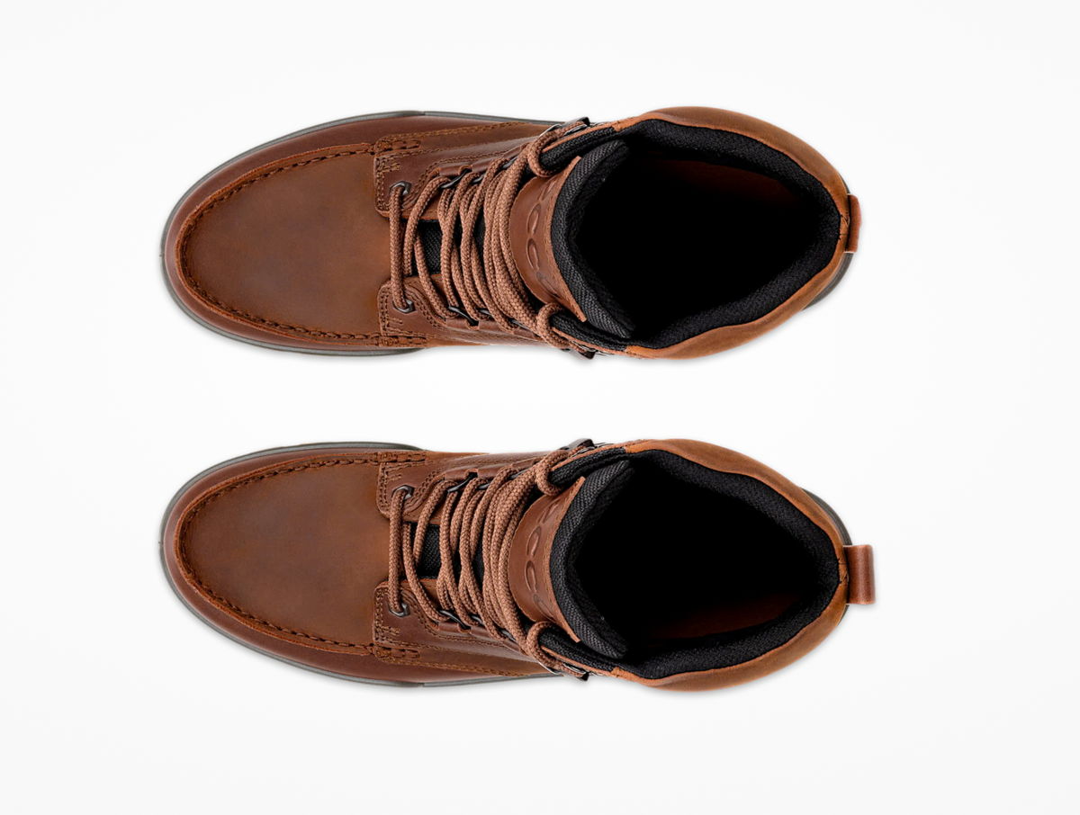 Ecco Track 25 Gortex Boot in Brown Bison 831704 53010