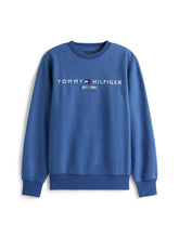 Load image into Gallery viewer, Tommy Hilfiger Blue Sweatshirt mw0mw11596 dvi