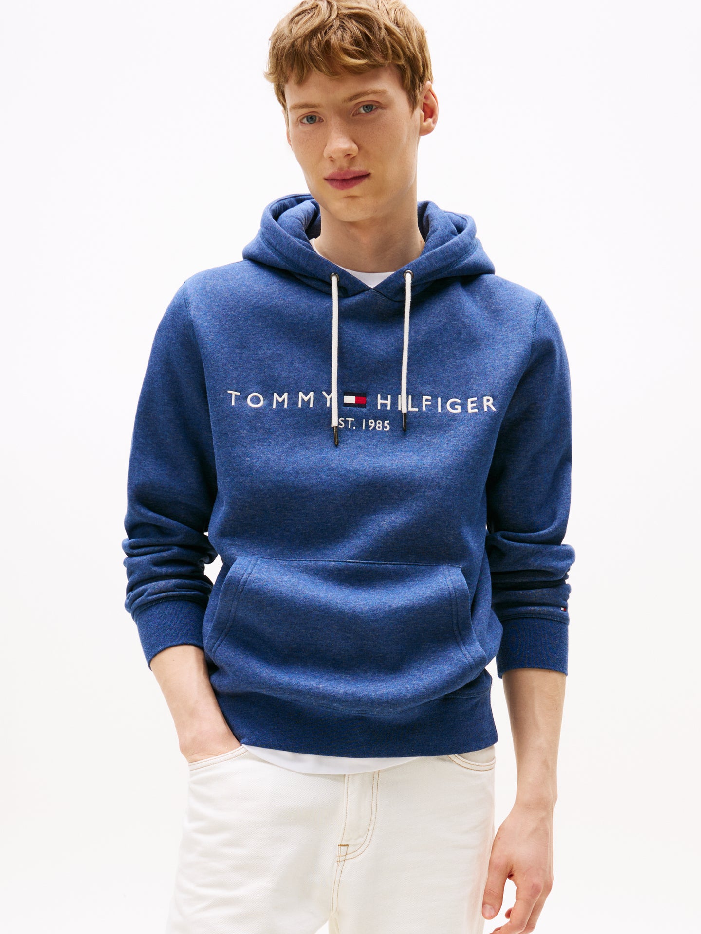Tommy Hilfiger Blue Hoody mw0mw11599 dvi