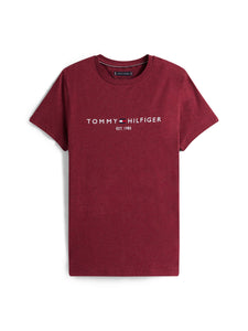 Tommy Hilfiger Rouge Tee mw0mw11797 xtw