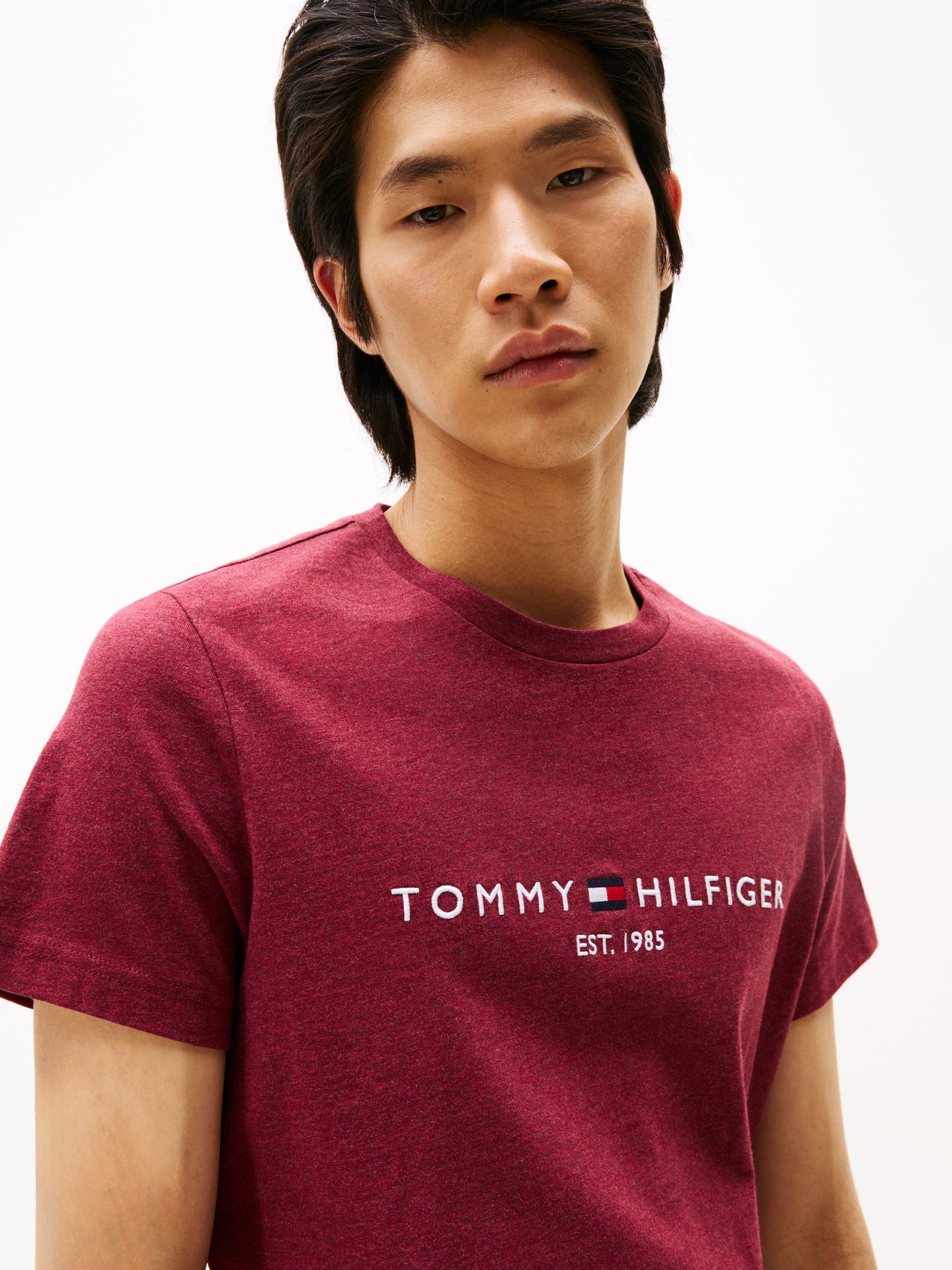 Tommy Hilfiger Rouge Tee mw0mw11797 xtw
