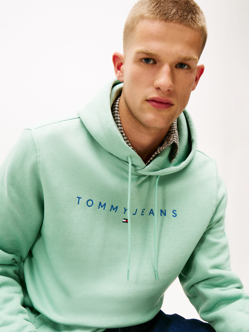 Tommy Jeans Jade Green Hoody dm0dm20746 mas