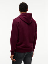 Load image into Gallery viewer, Tommy Jeans | Linear Logo Hoody in Calypso Berry | DM0DM20746 v11
