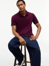 Load image into Gallery viewer, Tommy Jeans Berry Polo Shirt DM0DM22700 v11