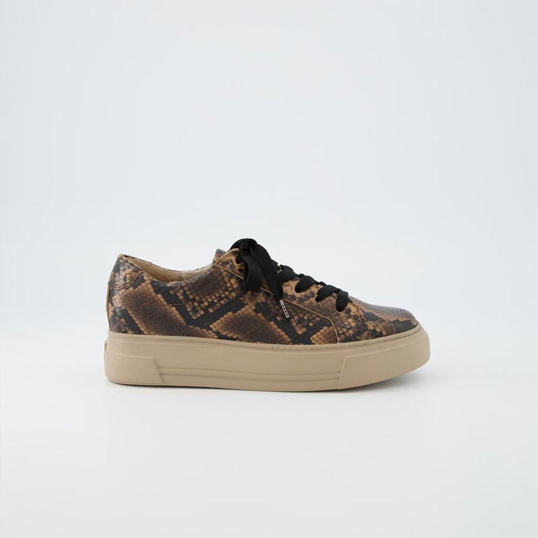 Paul Green Brown Snake Trainers 5469