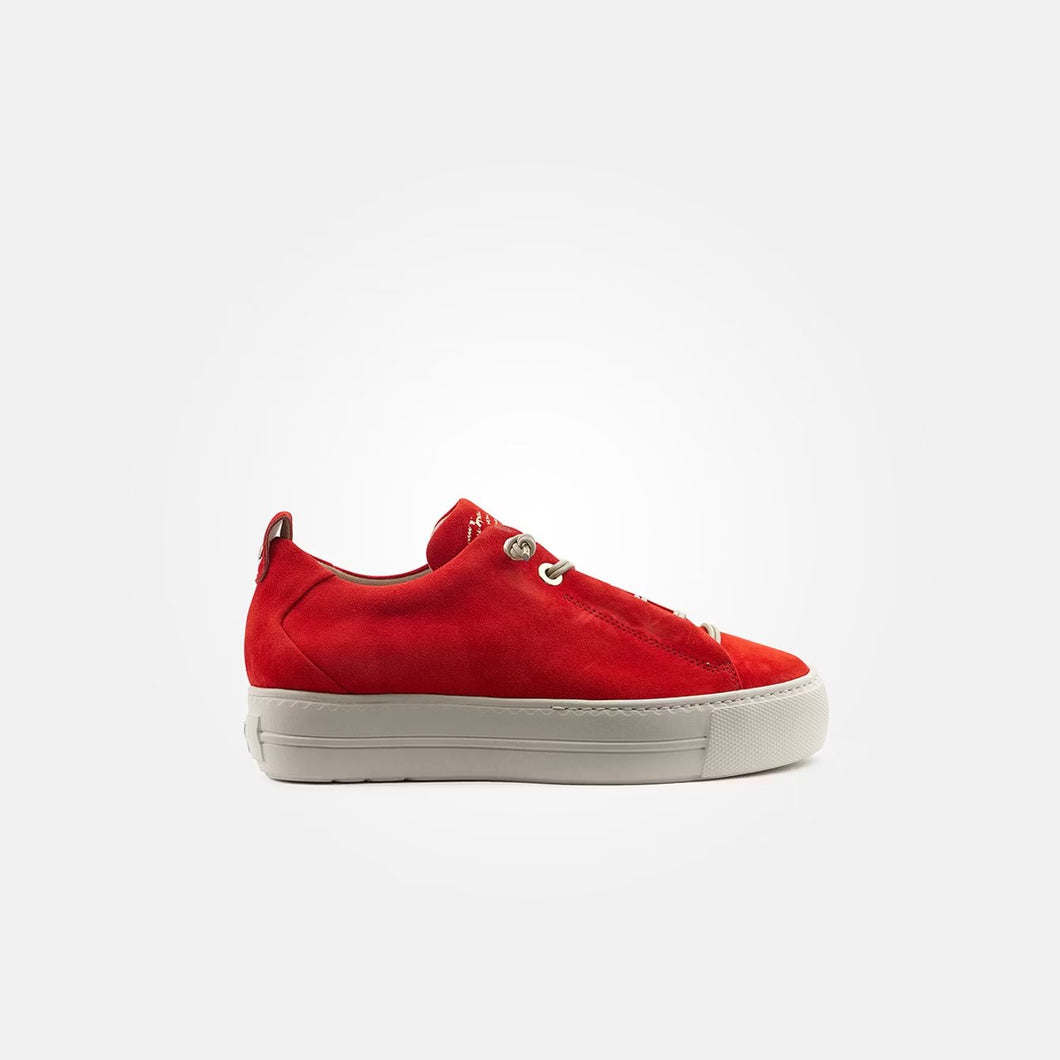 Paul Green 5017 Red Salsa