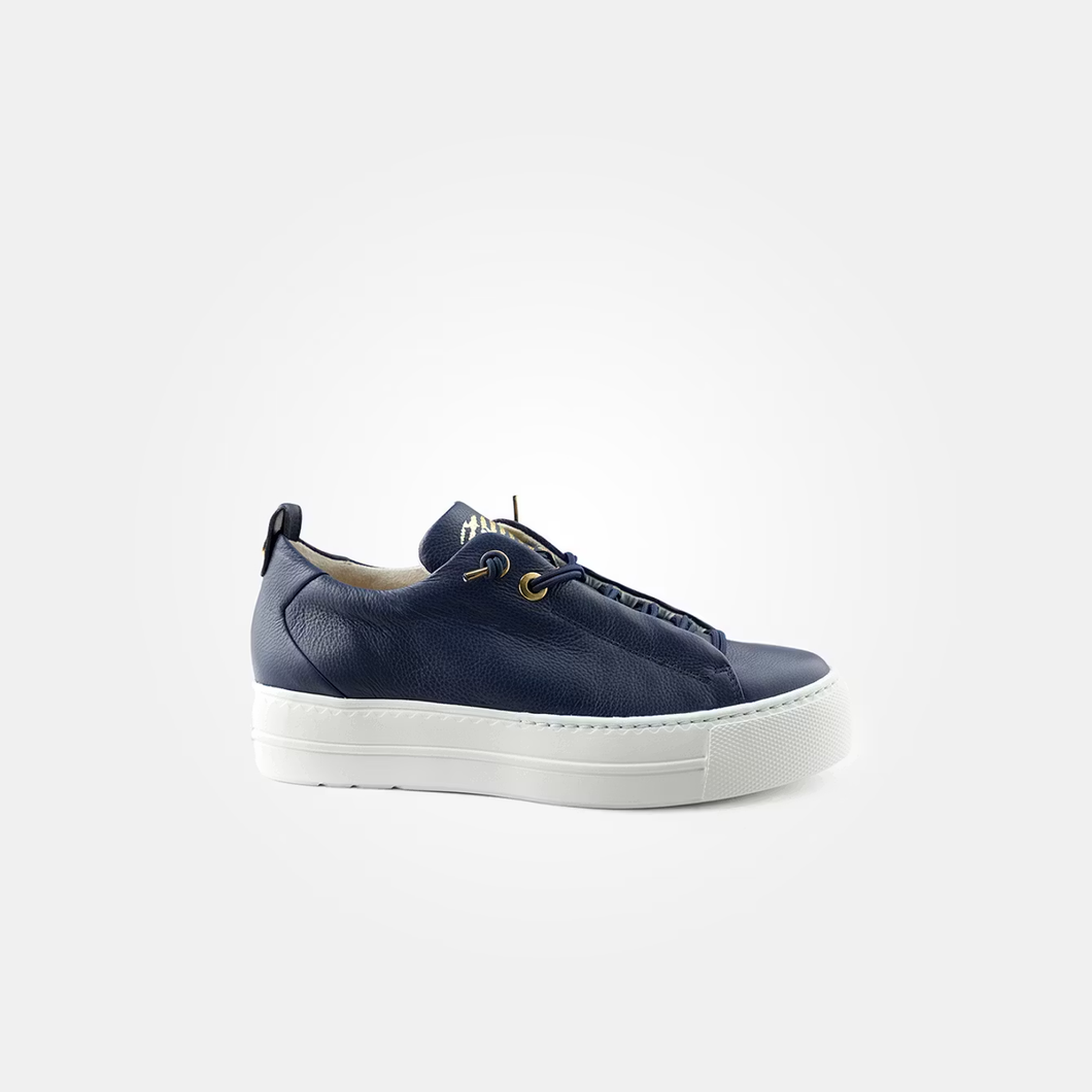 Paul Green 5017 Space Navy Gold