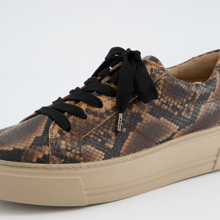 Paul Green Brown Snake Trainers 5469