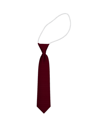 Elastic School Tie in Wine
