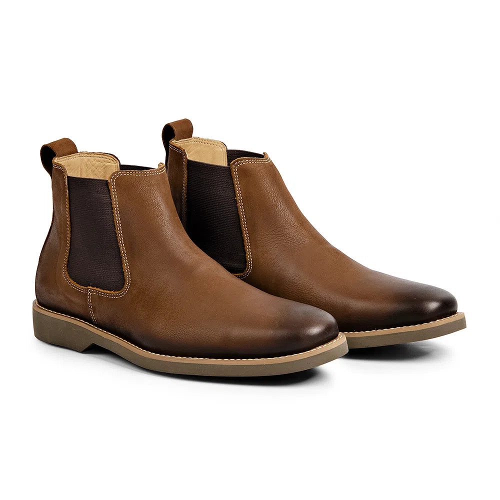 Cardoso Cognac