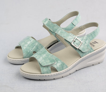 Notton 0462 223 Aqua